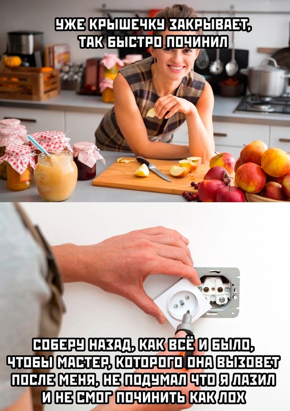 Весёлый полтишок 08.08.22