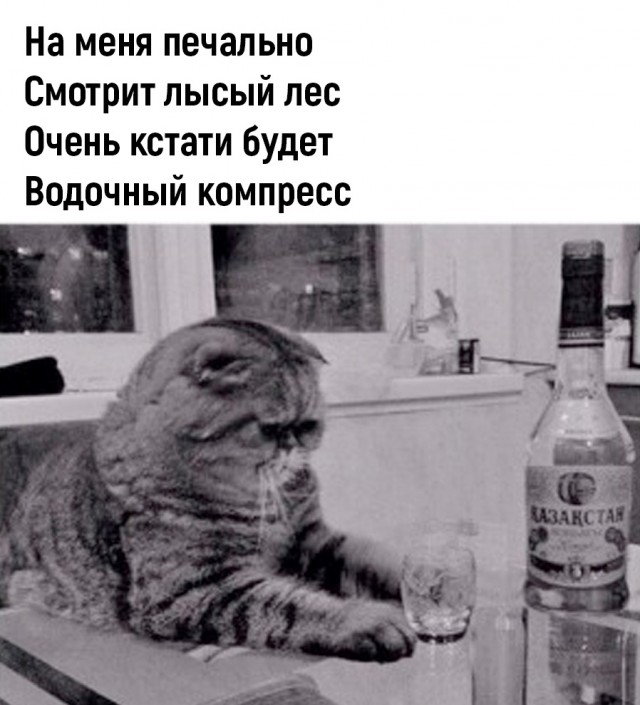 Немного картинок для настроения - 105