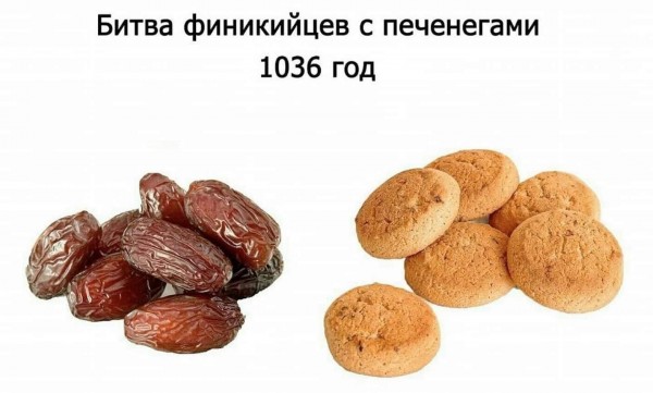 Брачный договор