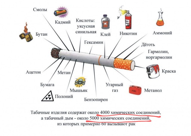 Врач рассказала о воздействии современной сигареты на организм человека