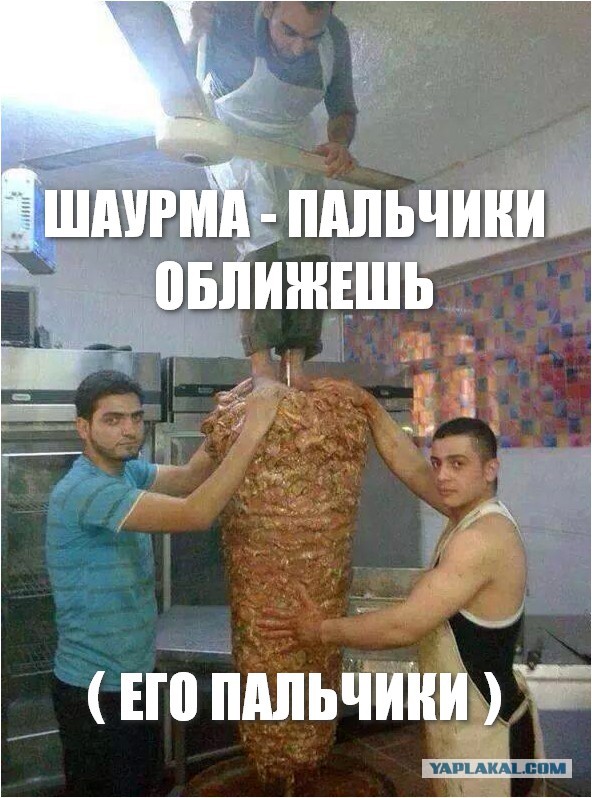 Делать шаурму из собак мем