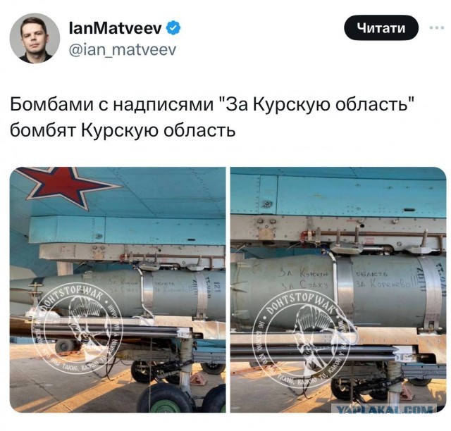 Бывший депутат Госдумы предложила решить проблему Курской области с помощью ковровых бомбардировок