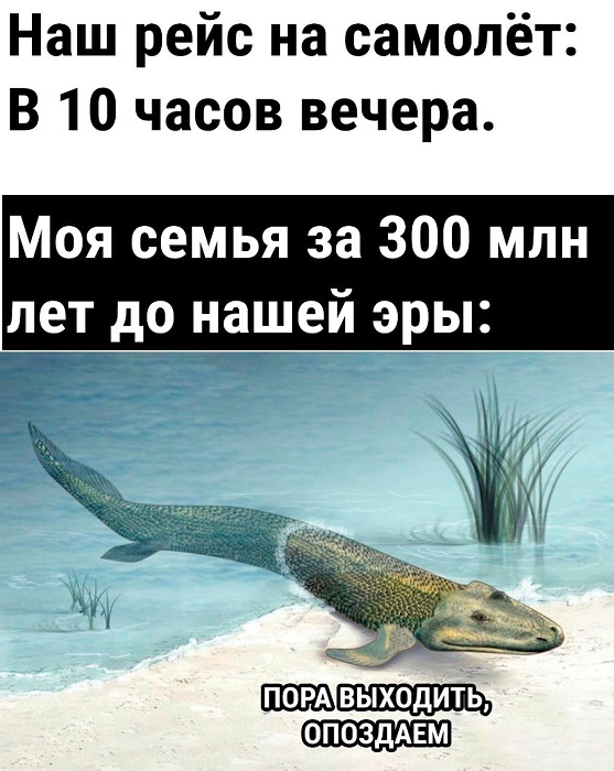 Картинки разные с надписями и без