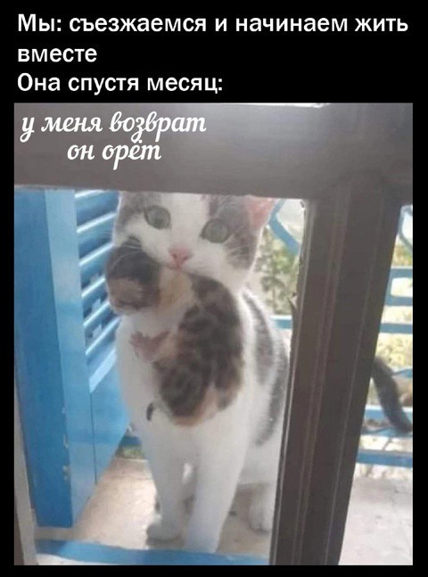 Всего понемногу. От 27.02.2025