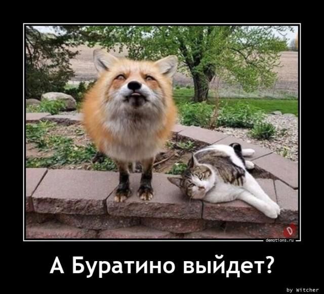 Прикольные и просто красивые картинки 04.04.2025