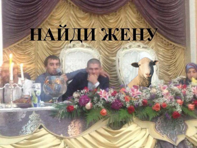 Найди жену на фотографии