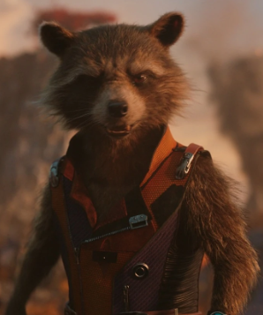Метамфетаминовый енот сдал бабку