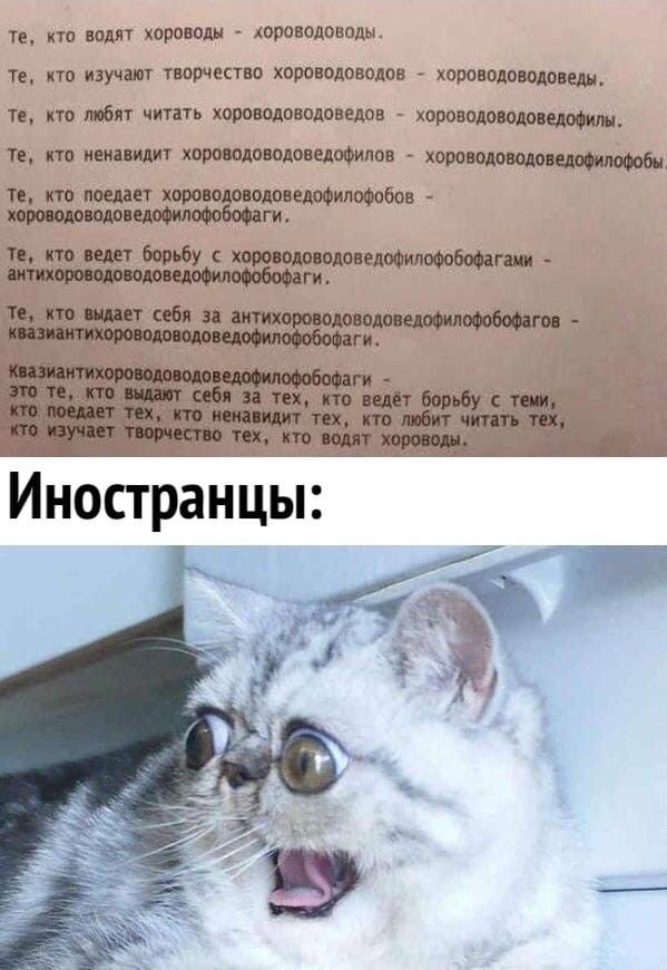 Игра слов в картинках 25.12.25