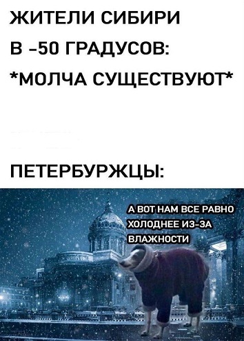 Ты чего избу не строишь?