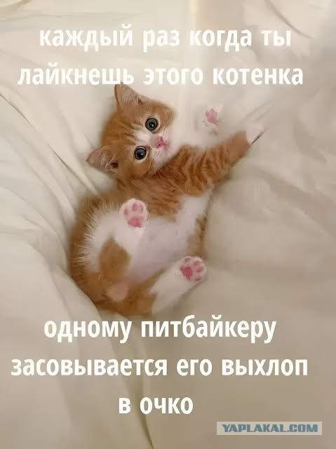 Надо проверить