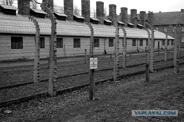 Ивановские муслимы жгут...