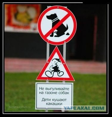 Нерадивым собаководам на заметку