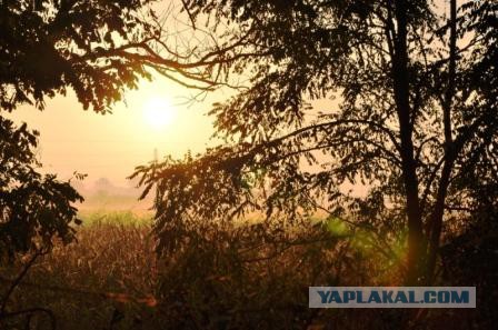 Сын фотографа делает удивительные снимки