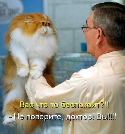 Не про олимпиаду