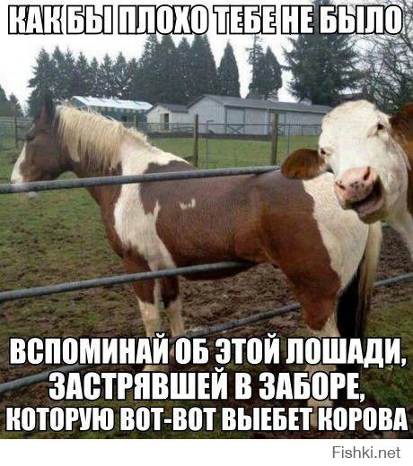 Смешные картинки