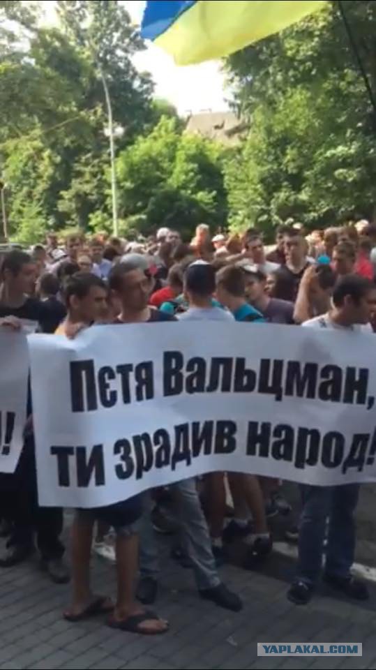 Во Львове митингуют...