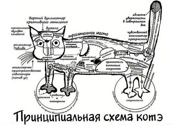 Отовсюду понемногу