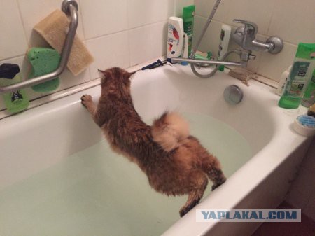 Картинки разные