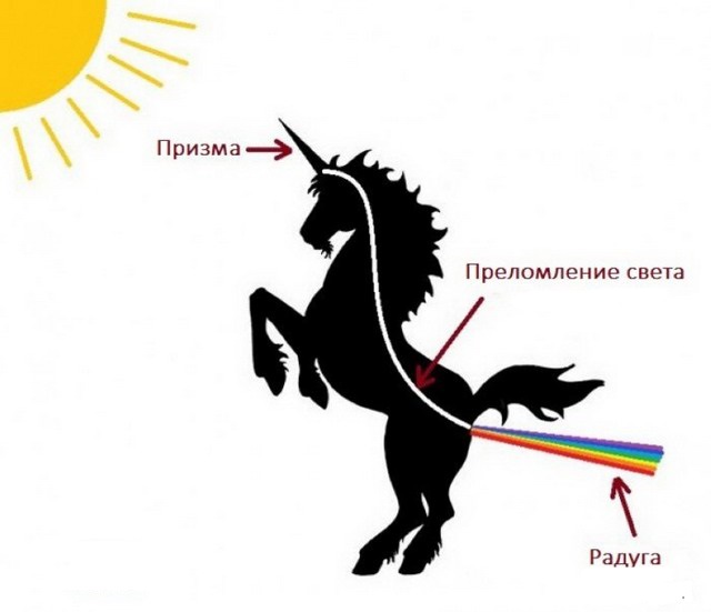 Смешные, прикольные и странные картинки ч.3