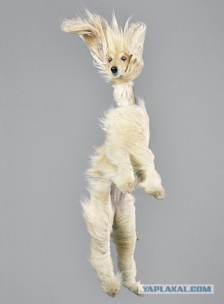 Подборка картинок 29.03.16