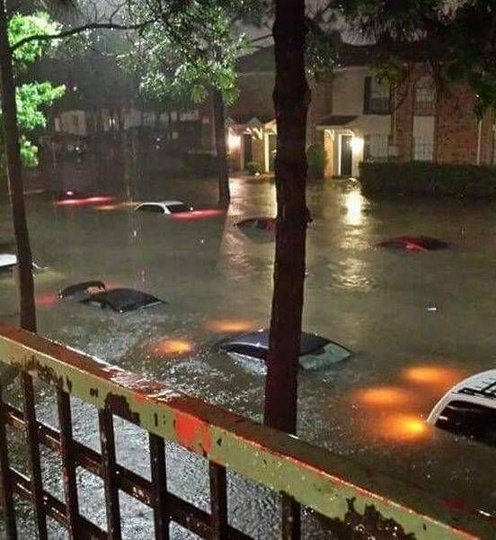 Подборка интересных и веселых картинок