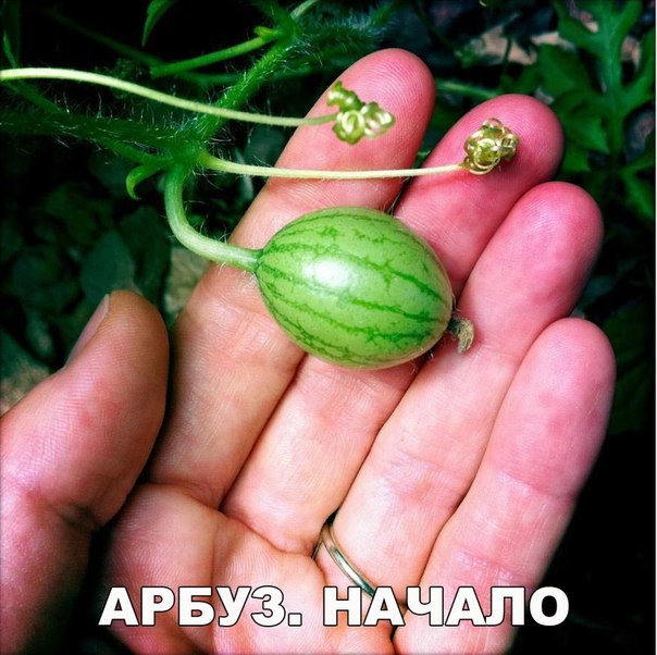 Подборка "баянов" со всего интернета