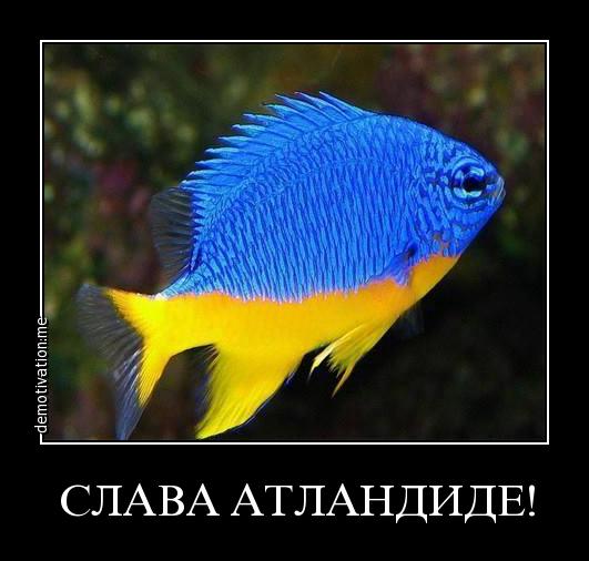 Вот спрашивается зачем?