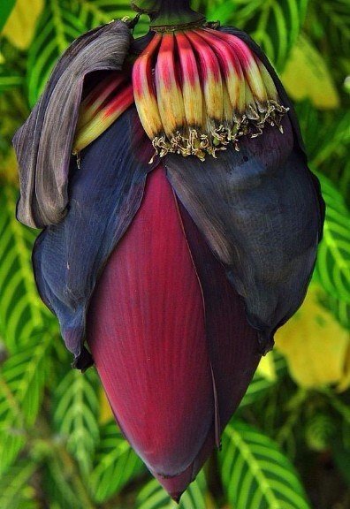 Всякая всячина