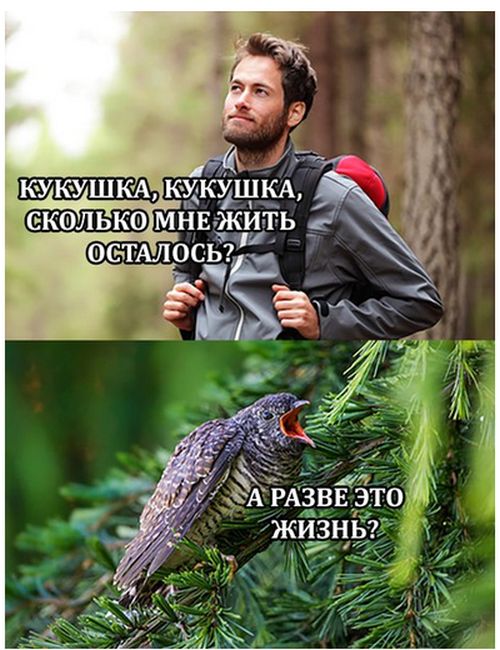 Подборка интересных и веселых картинок