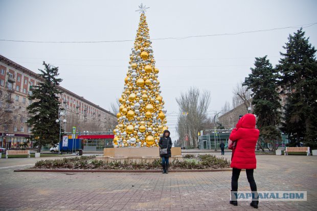 Рейтинг «самых ужасных» рождественских ёлок