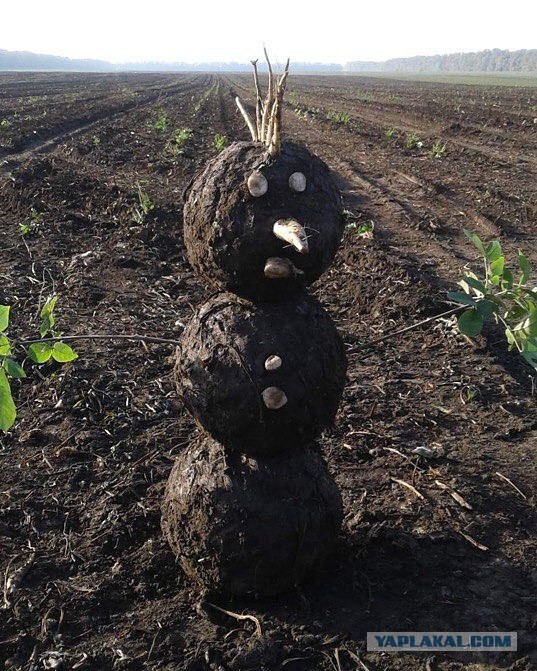 Новогодний позор в сердце столицы
