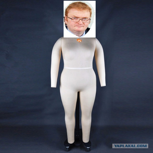 Милонов предлагает обязать устанавливать в магазинах манекены неидеальных размеров