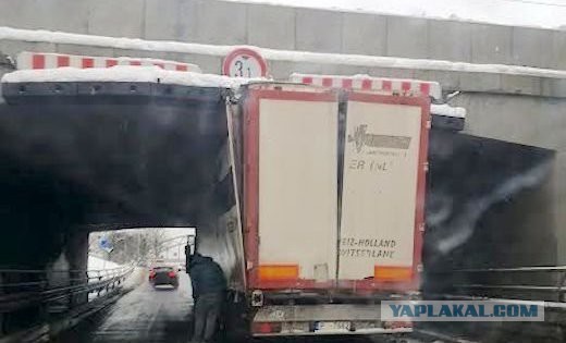 В петербургский мост с надписью «Газель» не проедет» врезалась уже 16-я «Газель»