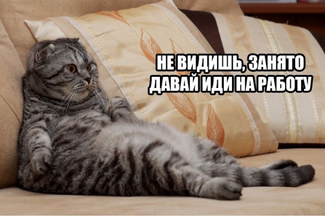 Подборка интересных и веселых картинок