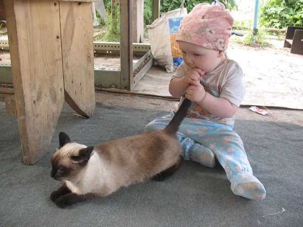 Ребёнок и кот