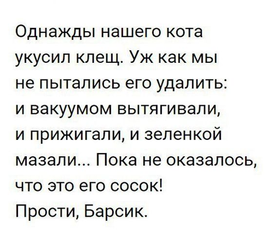 Немного картинок в этот тяжёлый день