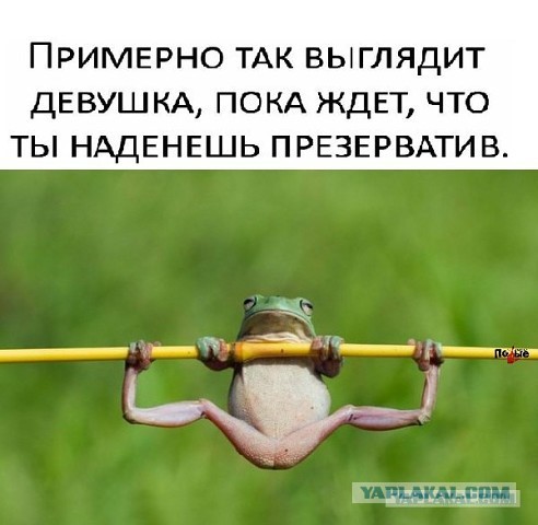 Алименты и что с ними можно сделать