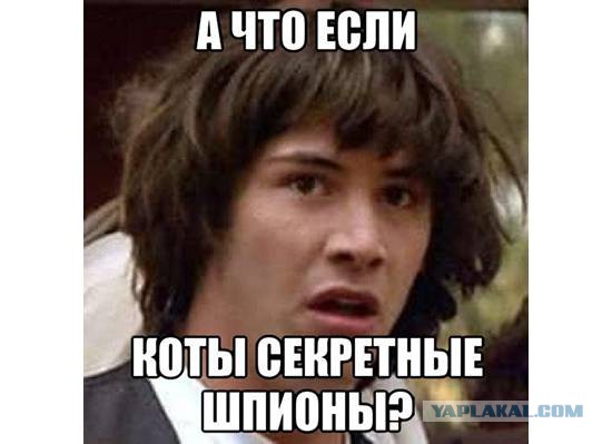 Нет, ну каков подлец!