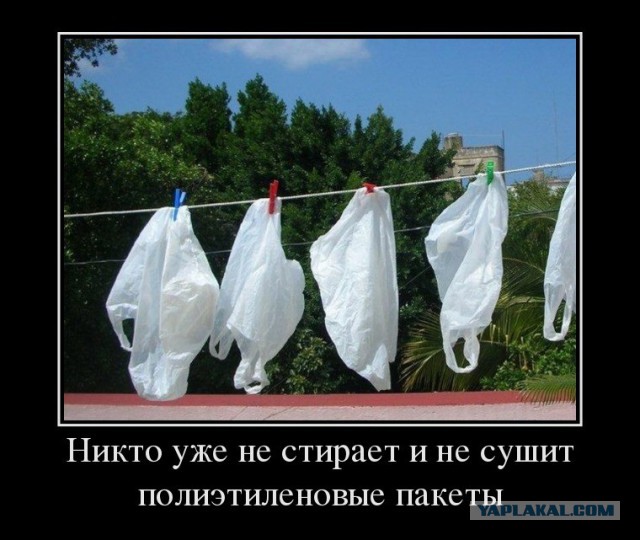 Экологическая катастрофа: Животы большинства китов забиты пластиком