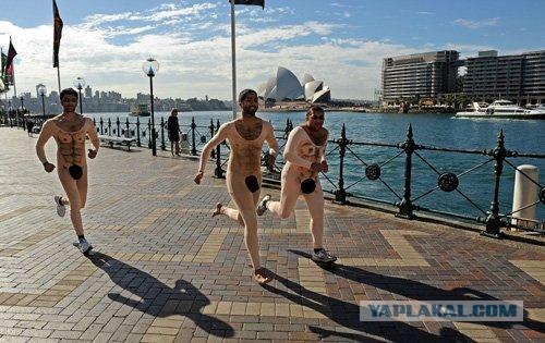 Спортивный костюм для бегунов (6 фото)