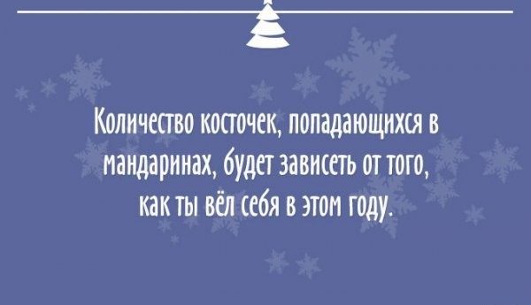 Интернет-пользователи, которые уже начали готовиться к Новому году и делают это с огоньком