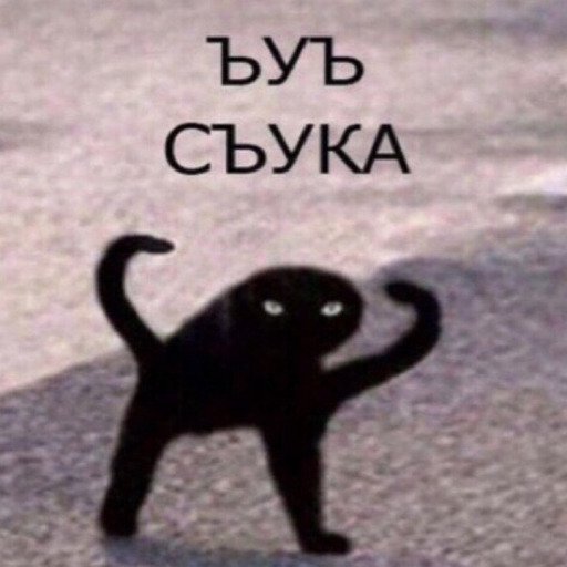 Тот самый кот