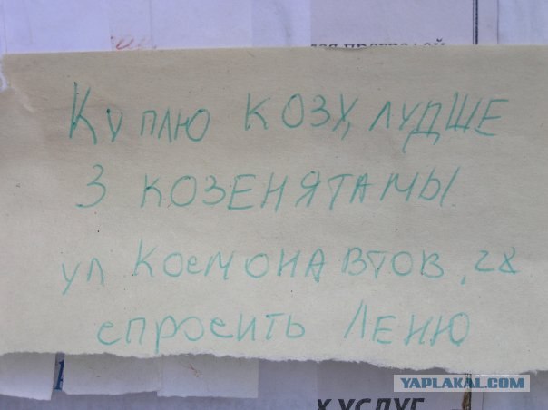 Продам козу