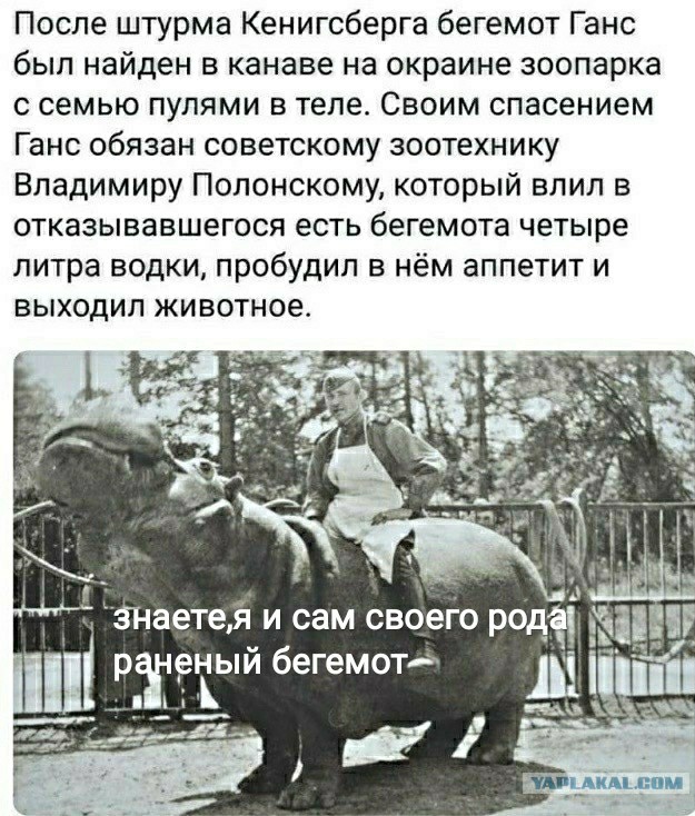 Немного картинок для настроения 28.04.20