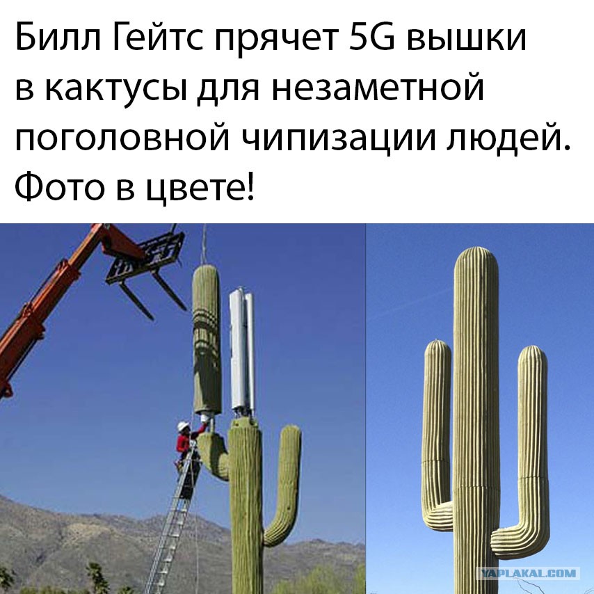14320987.jpg