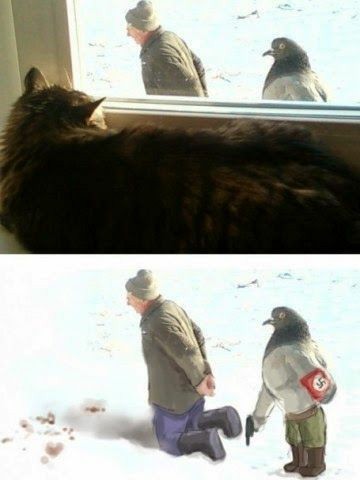 Голубь. Остросюжетный фотосериал.