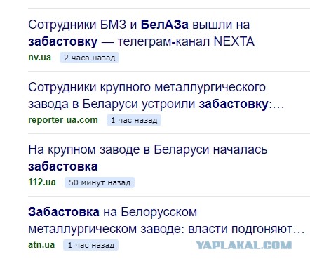 Беларусь! Люди бьют ОМОН возле стеллы