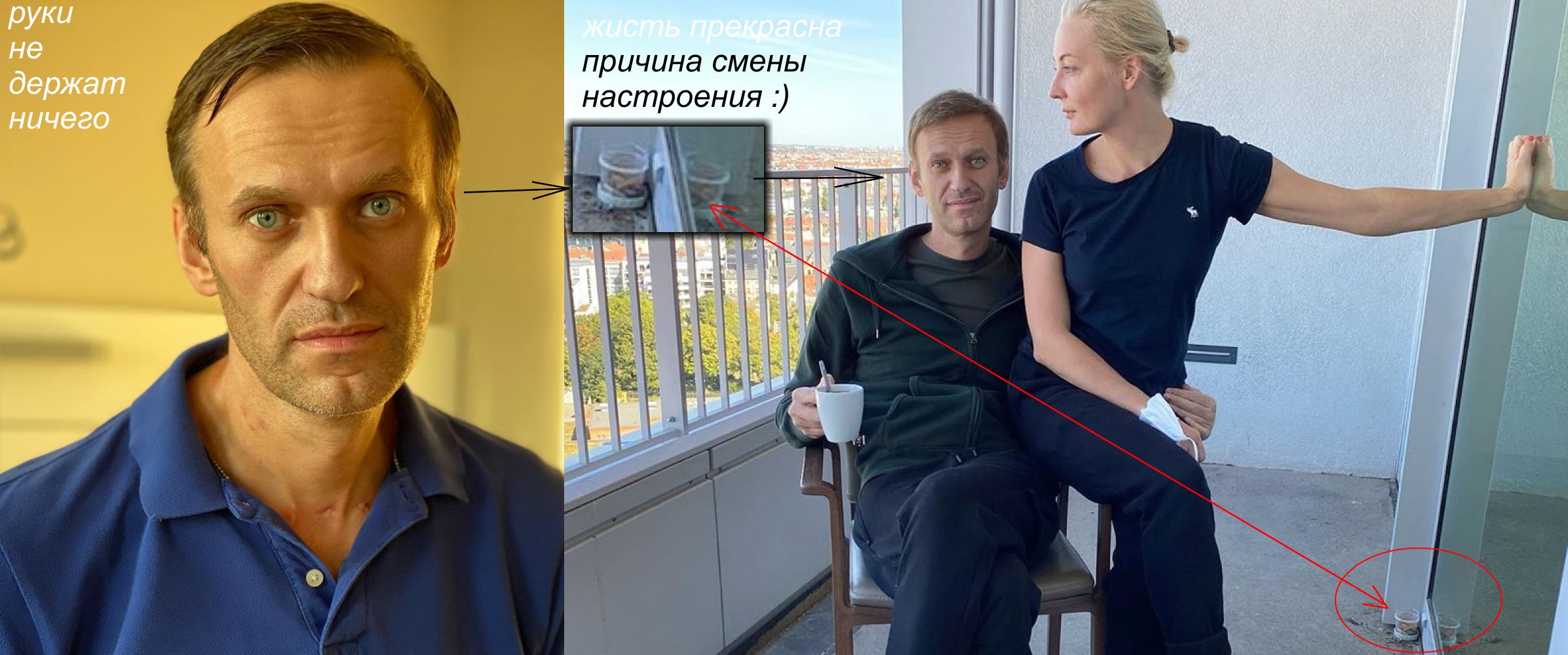 В россии родился говорящий малыш 2024. Навальный лысый.