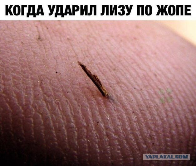 Всё не зря