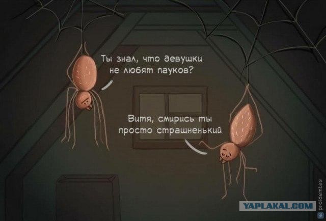 Баянисто-небаянистый юмор. 7.10.20.